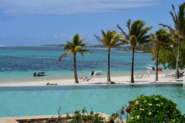 Uncover Affordable Tips for an Unforgettable Adventure at the Eden Project